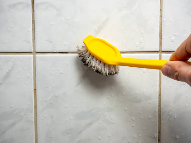 Best Residential Mold Removal  in Dupo, IL